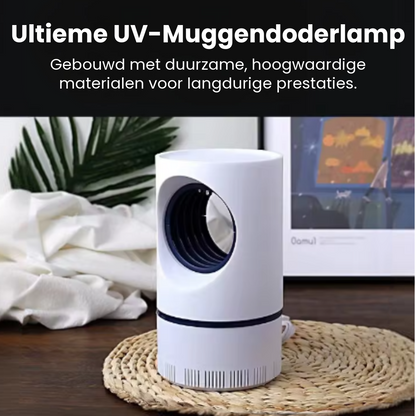 Muggendodende Lamp