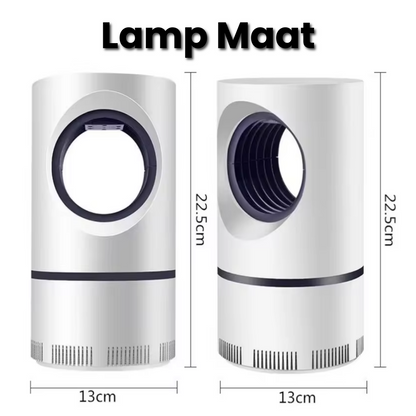 Muggendodende Lamp