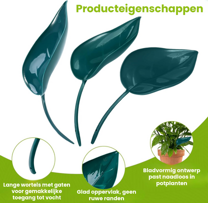 Plant Bewateringshulp