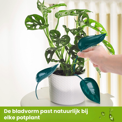 Plant Bewateringshulp